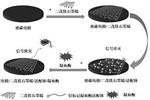 檢測凝血酶的電化學(xué)發(fā)光生物傳感器及其制備方法