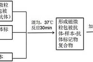 用于NPTX2的磁微?；瘜W發(fā)光免疫檢測試劑盒