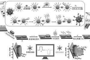 檢測癌癥標志物的信號翻轉型光電化學生物傳感器及其制備方法和應用