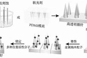 用于原位檢測炎癥環(huán)境的多參數(shù)SERS活性微針