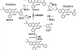 快速檢測(cè)半胱氨酸的熒光探針及其合成方法與應(yīng)用