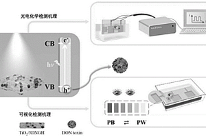 新型光電/可視化雙模式傳感器的構(gòu)建方法及其在嘔吐毒素檢測上的應(yīng)用