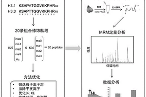 基于MRM的植物組蛋白變體H3.3的定量檢測方法