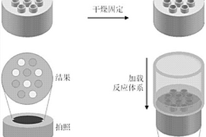 基于毛細管微陣列的核酸高通量快速檢測方法