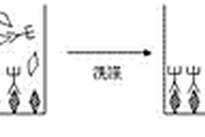 T3化學(xué)發(fā)光體外診斷試劑盒及其使用方法