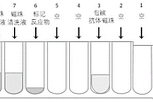 白細(xì)胞介素-6的檢測試劑條及其應(yīng)用