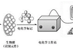 基于二標(biāo)記的電化學(xué)免疫傳感器的制備方法