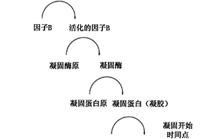 檢測內(nèi)毒素的方法