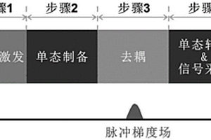 利用核自旋單態(tài)選擇性檢測目標(biāo)物的方法