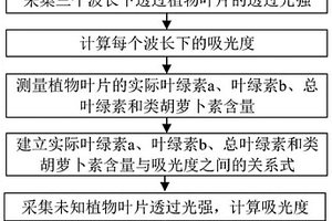 無損快速檢測(cè)植物葉片中葉綠素和類胡蘿卜素含量的方法