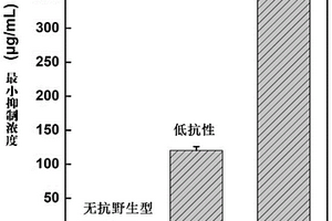 基于對苯醌介導(dǎo)的大腸桿菌的制備及其檢測方法