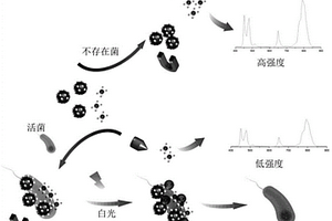 基于金銀磁-季銨鹽光學(xué)傳感的致病菌快速檢測方法