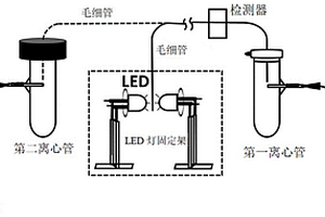 用于高電導值水樣中硝酸鹽及總氮檢測的毛細管電泳方法