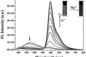 檢測汞離子的比色/熒光探針及其制備方法與應(yīng)用