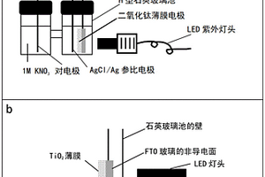 鈦白粉耐候性的快速檢測方法