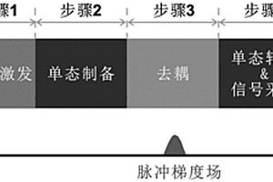 利用核自旋單態(tài)選擇性對(duì)指定空間中目標(biāo)物進(jìn)行磁共振波譜檢測(cè)的方法