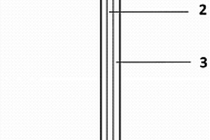 可用于Cu<sup>2+</sup>檢測(cè)的功能修飾針灸針電極及其制備方法