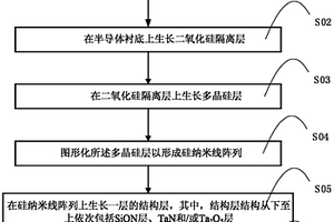 用于硅納米線生物檢測芯片的結(jié)構(gòu)及其制造方法