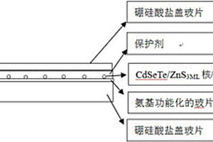 近紅外量子點(diǎn)單光子源的制備方法及檢測方法