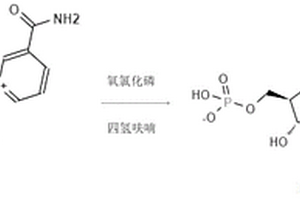 煙酰胺單核苷酸(NMN)的化學(xué)合成方法