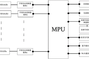 用于不極化電極的規(guī)范化匹配電子測量裝置