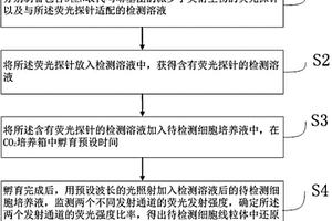 活細(xì)胞線粒體中還原型谷胱甘肽的濃度測(cè)定方法