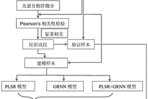 喀斯特植物葉片全磷含量無損監(jiān)測方法