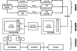 基于深度學習的蛋白質(zhì)相互作用位點預(yù)測方法