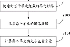 大豆葉片的光合色素測定方法及系統(tǒng)