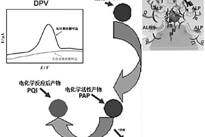 自動(dòng)化核酸滾環(huán)擴(kuò)增和酶標(biāo)催化底物雙重放大信號(hào)的DNA測(cè)序微流控生物芯片