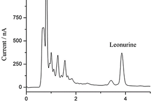 HPLC-ECD測定益母草堿含量的方法