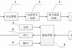 基于矢量場(chǎng)信息增強(qiáng)型心沖擊圖監(jiān)測(cè)裝置