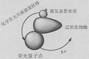 基于化學(xué)發(fā)光共振能量轉(zhuǎn)移原理構(gòu)建生物納米器件的方法