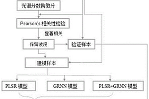 喀斯特植物葉片TN含量無(wú)損監(jiān)測(cè)方法