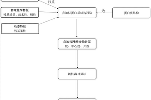 基于結(jié)構(gòu)網(wǎng)絡(luò)模型的蛋白質(zhì)功能位點預(yù)測方法