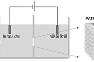 采用電化學(xué)方法評估PATP-Au-MTI/AAO異質(zhì)結(jié)膜的方法