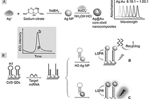 等離子體可調(diào)控的Ag@Au核殼納米材料增強(qiáng)量子點(diǎn)的電致化學(xué)發(fā)光傳感器的構(gòu)建方法