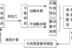 基于化學(xué)的煎制牛肉熟度分級(jí)表征方法