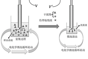 循環(huán)式電化學(xué)萃取裝置及其應(yīng)用