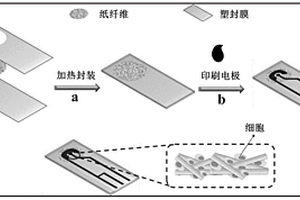 三維紙基電化學(xué)傳感器件其制備方法與應(yīng)用