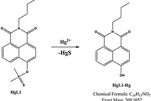 檢測(cè)汞離子的反應(yīng)型萘酰亞胺熒光探針及其制備方法與應(yīng)用