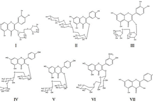 小花清風(fēng)藤中七種黃酮類化學(xué)成分的提取分離方法