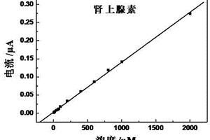 準微電極的制備方法及準微電極在同時檢測腎上腺素和尿酸中的應用