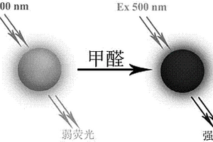 能檢測甲醛的水溶性熒光碳點(diǎn)傳感器的制備及應(yīng)用