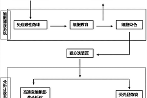 乳腺癌循環(huán)腫瘤細(xì)胞檢測系統(tǒng)及試劑盒