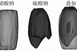 基于受激拉曼散射的大氣單顆粒物快速三維化學(xué)成像方法