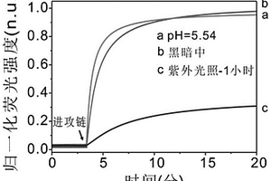 基于光化學(xué)調(diào)控核酸分子鏈置換動(dòng)力學(xué)的方法