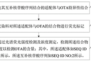 OTA適配體及其互補序列及OTA熒光檢測方法