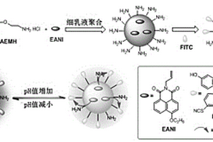 具有pH值和汞離子比率檢測功能的水分散性熒光聚合物納米粒子、制備方法及應用