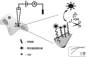 檢測(cè)·OH的玻璃納米孔傳感器及其制備和應(yīng)用